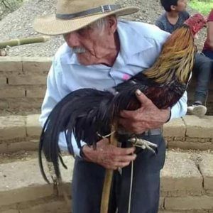 Meet your Posher, Cesar